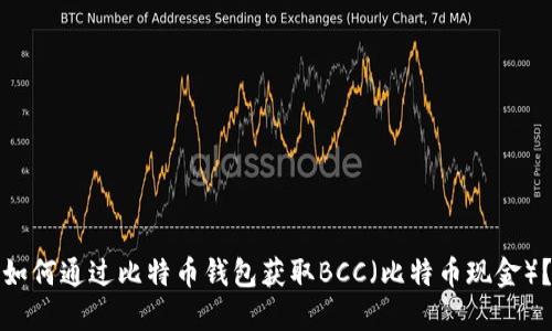 如何通过比特币钱包获取BCC（比特币现金）？
