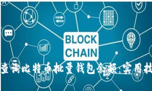 如何快速查询比特币批量钱包余额：实用技巧与工具