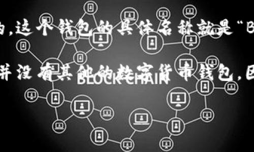 最早的比特币钱包实际上指的是“比特币软件钱包”，它是由比特币的创始人中本聪（Satoshi Nakamoto）开发的，并且是在2009年随着比特币的第一次发布而推出的。这个钱包的具体名称就是“Bitcoin-Qt”，而在后来被称为“比特币核心钱包”（Bitcoin Core Wallet）。这个钱包的基本功能是允许用户生成比特币地址、接收和发送比特币，以及查看其账户余额。

随着比特币的不断发展，出现了许多不同类型的钱包，包括在线钱包、硬件钱包、移动钱包等，但“比特币核心钱包”是最初提供比特币存储和管理功能的软件。在这之前并没有其他的数字货币钱包，因为比特币是第一个真正意义上的加密货币。

如果您有兴趣了解比特币钱包的工作原理、历史背景或其他相关信息，请告诉我！