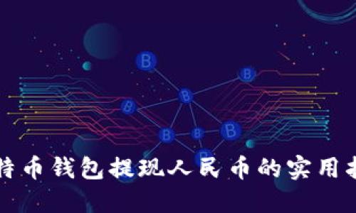 比特币钱包提现人民币的实用指南