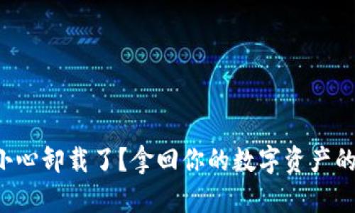 TP钱包不小心卸载了？拿回你的数字资产的实用指南！