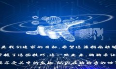 在这篇文章中，我们将详