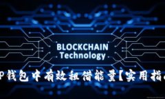 如何在TP钱包中有效租借能