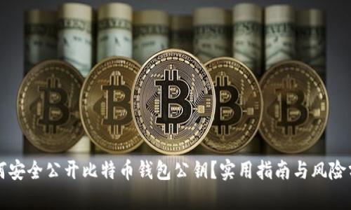 如何安全公开比特币钱包公钥？实用指南与风险分析