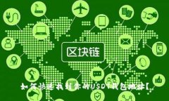 如何快速找到你的USDT钱包