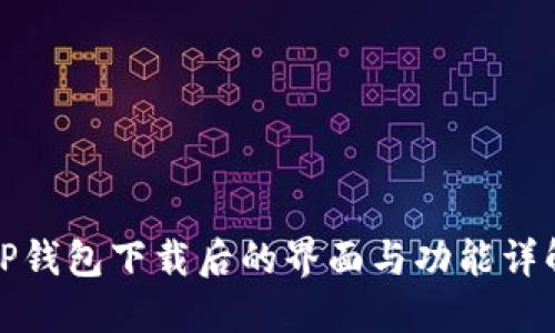 TP钱包下载后的界面与功能详解