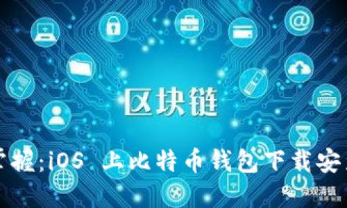 轻松掌握：iOS 上比特币钱包下载安装指南