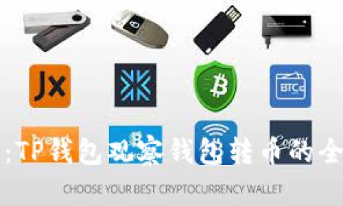 深入解析：TP钱包观察钱包转币的全流程指南