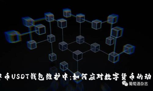 中币USDT钱包维护中：如何应对数字货币的动荡