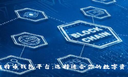 全面解析比特币钱包平台：选择适合你的数字资产存储方式