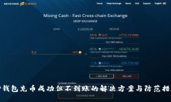 TP钱包充币成功但不到账的