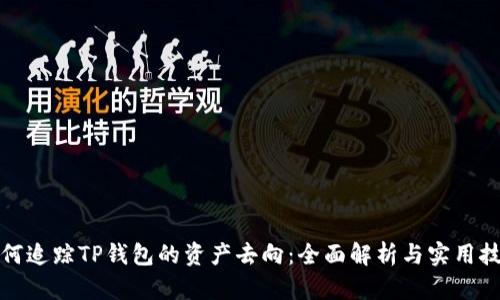 如何追踪TP钱包的资产去向：全面解析与实用技巧