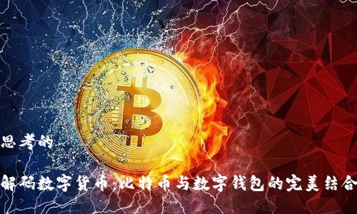 思考的

解码数字货币：比特币与数字钱包的完美结合