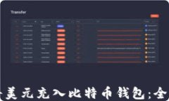 如何将美元充入比特币钱