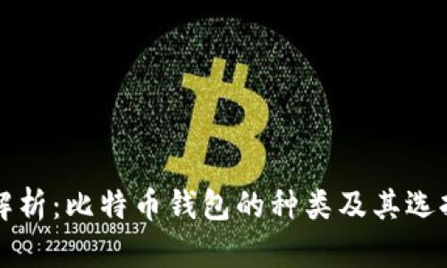 全面解析：比特币钱包的种类及其选择指南