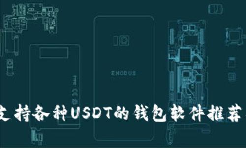 全面解析：支持各种USDT的钱包软件推荐及使用指南