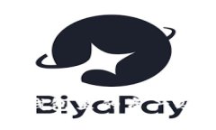 深入了解TP钱包里的资产及