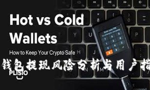 TP钱包提现风险分析与用户指南