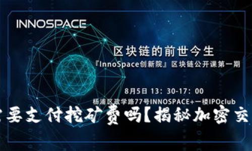 TP钱包真的需要支付挖矿费吗？揭秘加密交易背后的真相