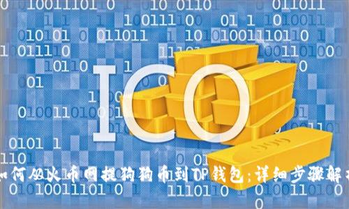 如何从火币网提狗狗币到TP钱包：详细步骤解析