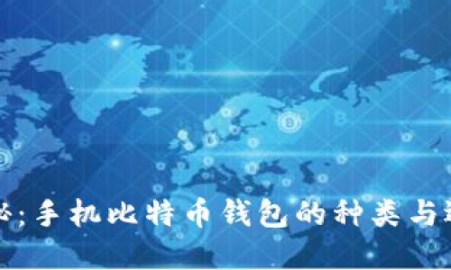 全面揭秘：手机比特币钱包的种类与选择指南